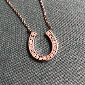 Silver and Crystal Horseshoe Necklace